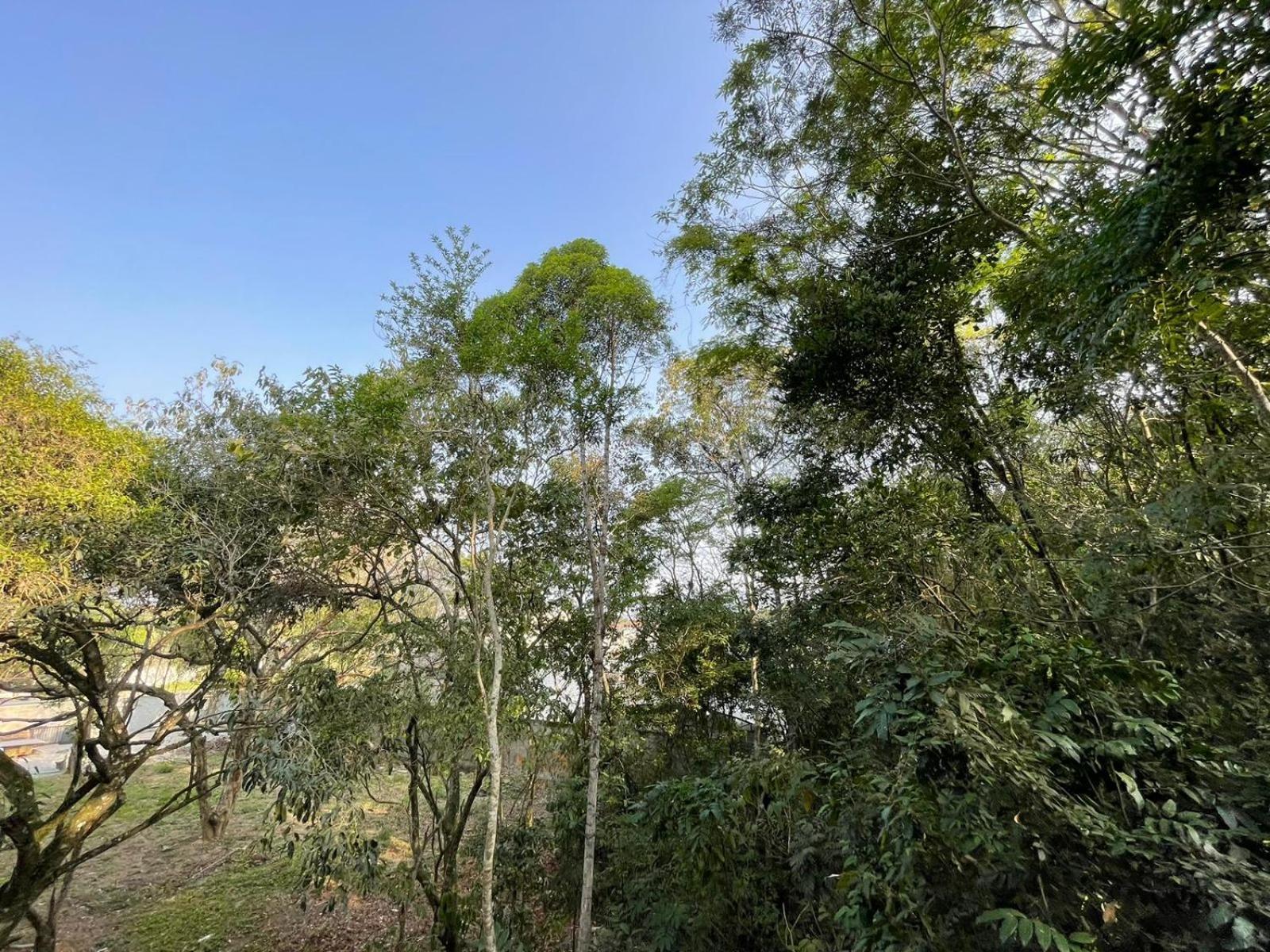 Conforto E Natureza No Rio De Janeiro Apartamento *